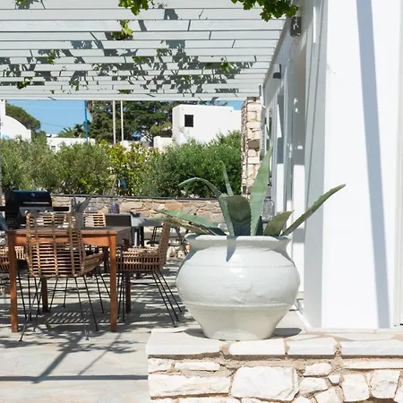 Navi B3 Brand New In 나오우사