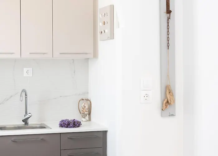 Navi B3 Brand New In 나오우사