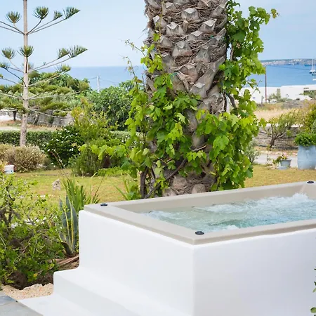 Apartment Navi B3 Brand New In Naousa (Paros)