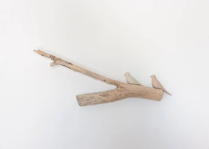 Navi B3 Brand New In *