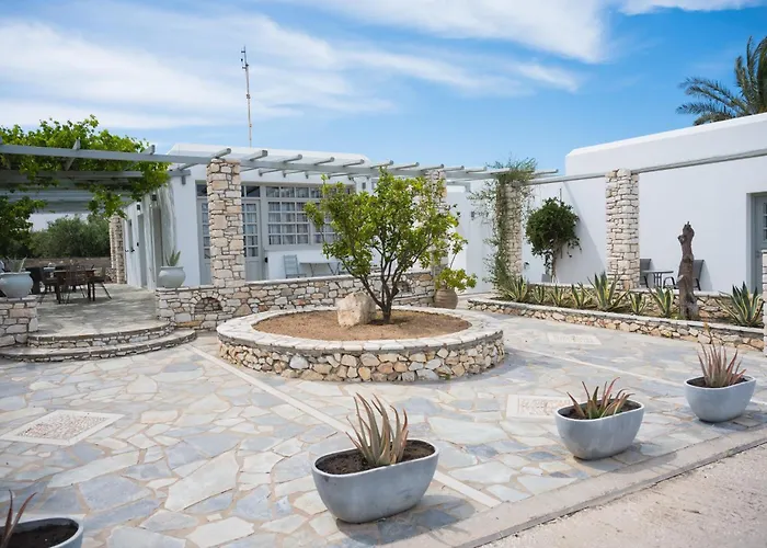 Navi B3 Brand New In *